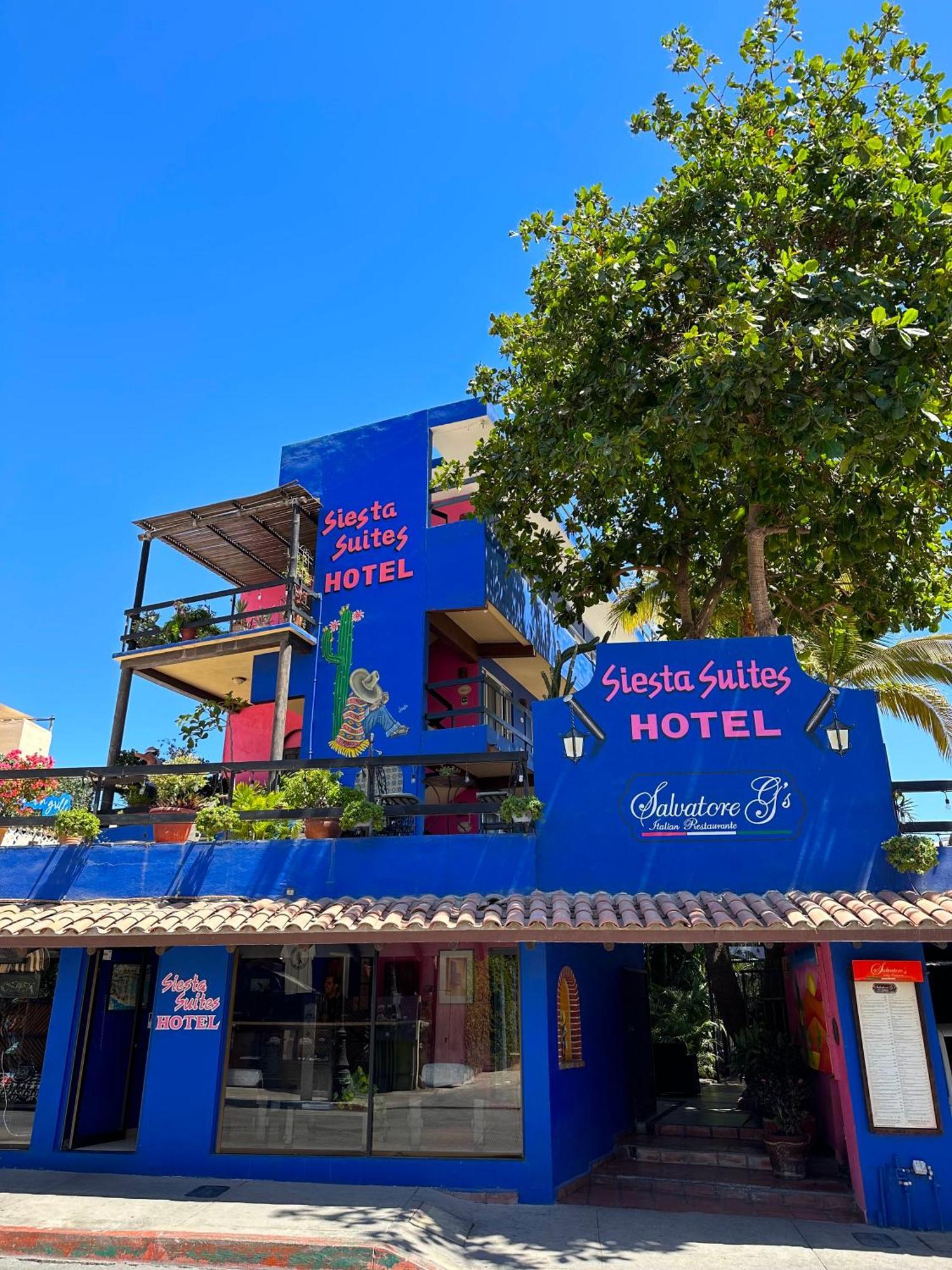 Siesta Suites Boutique Hotel カボ・サン・ルーカス エクステリア 写真