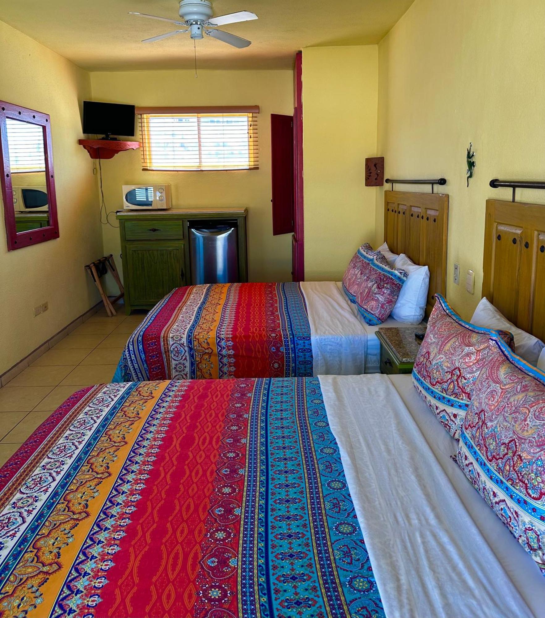 Siesta Suites Boutique Hotel カボ・サン・ルーカス 部屋 写真