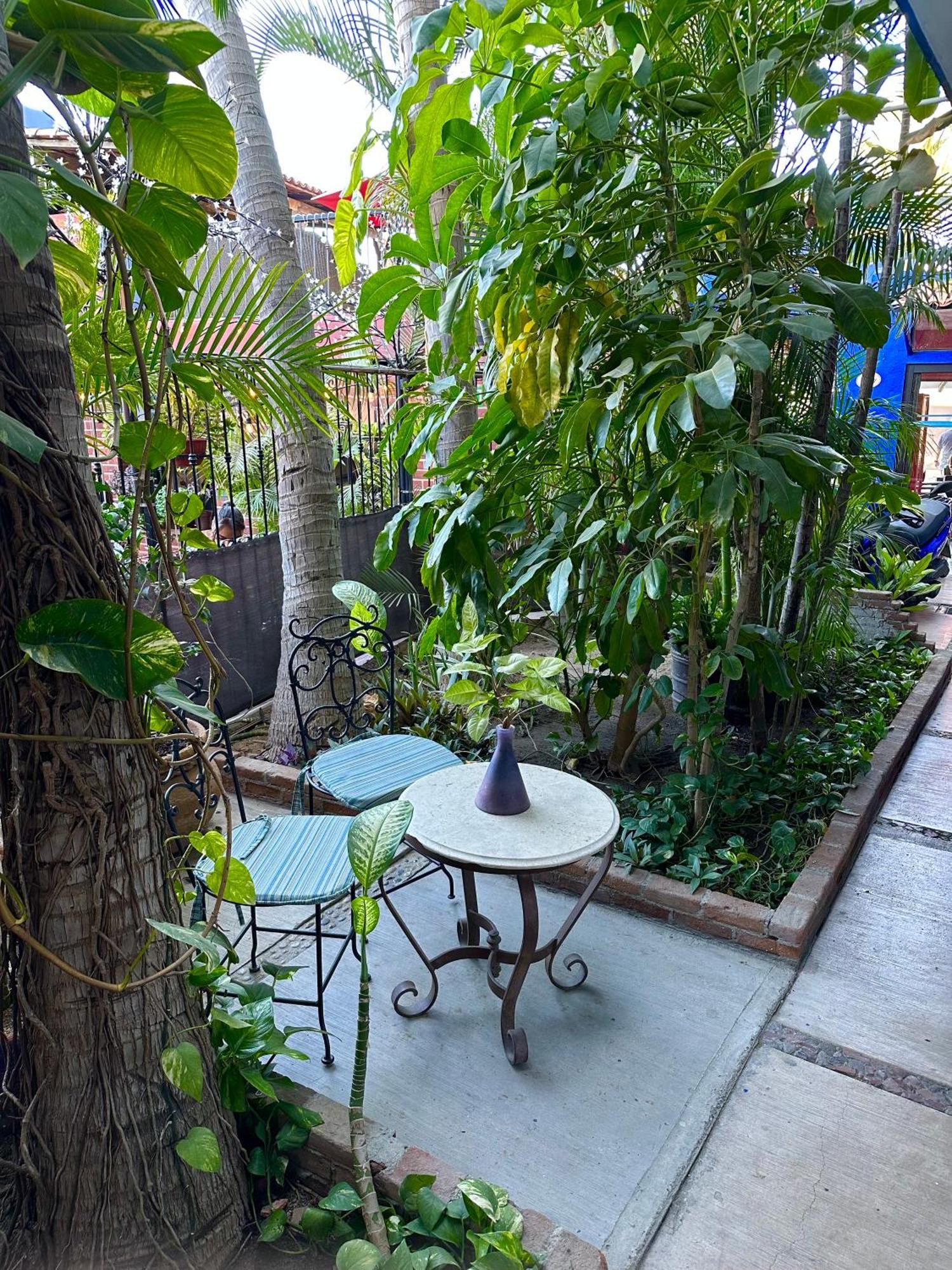 Siesta Suites Boutique Hotel カボ・サン・ルーカス エクステリア 写真