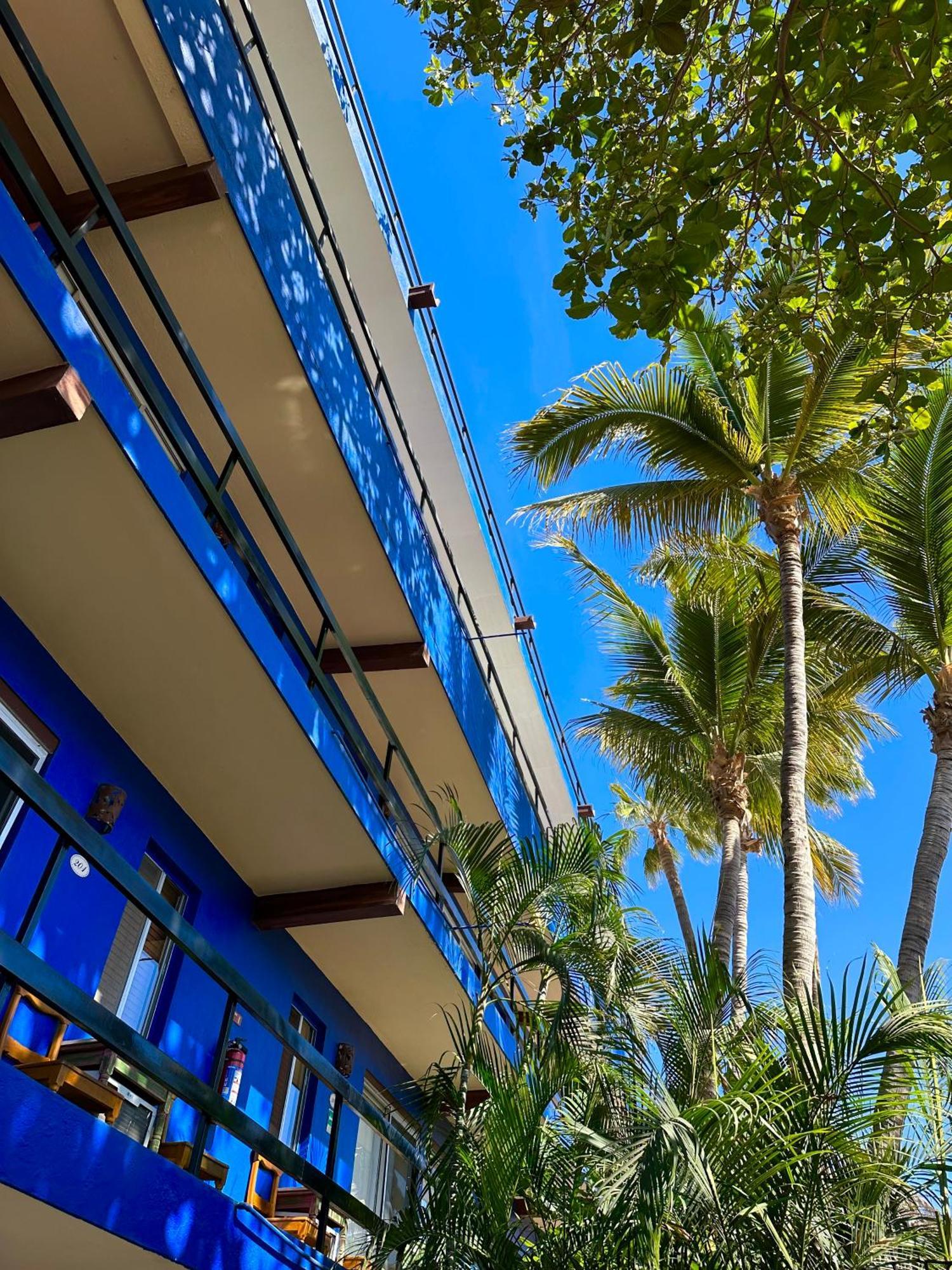 Siesta Suites Boutique Hotel カボ・サン・ルーカス エクステリア 写真