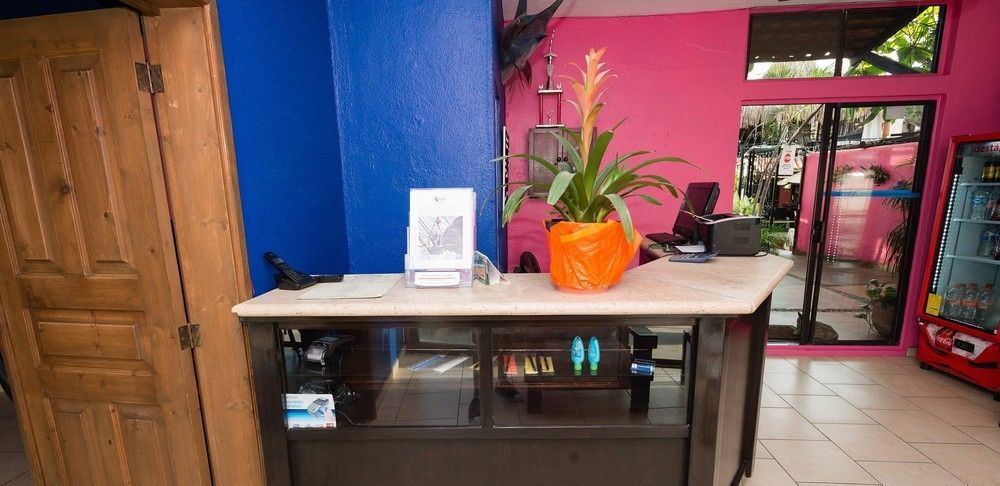 Siesta Suites Boutique Hotel カボ・サン・ルーカス エクステリア 写真